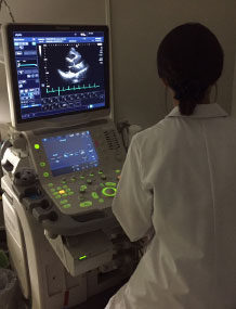 心臓超音波検査